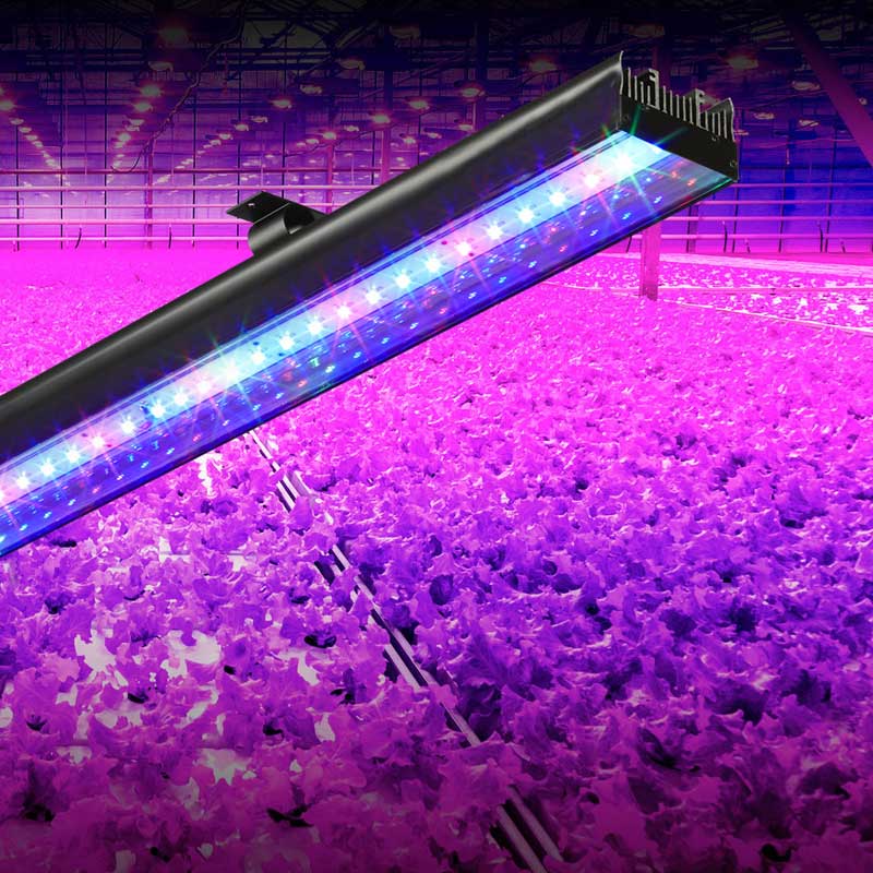 LED Aqua Bar Lights (0.9m)