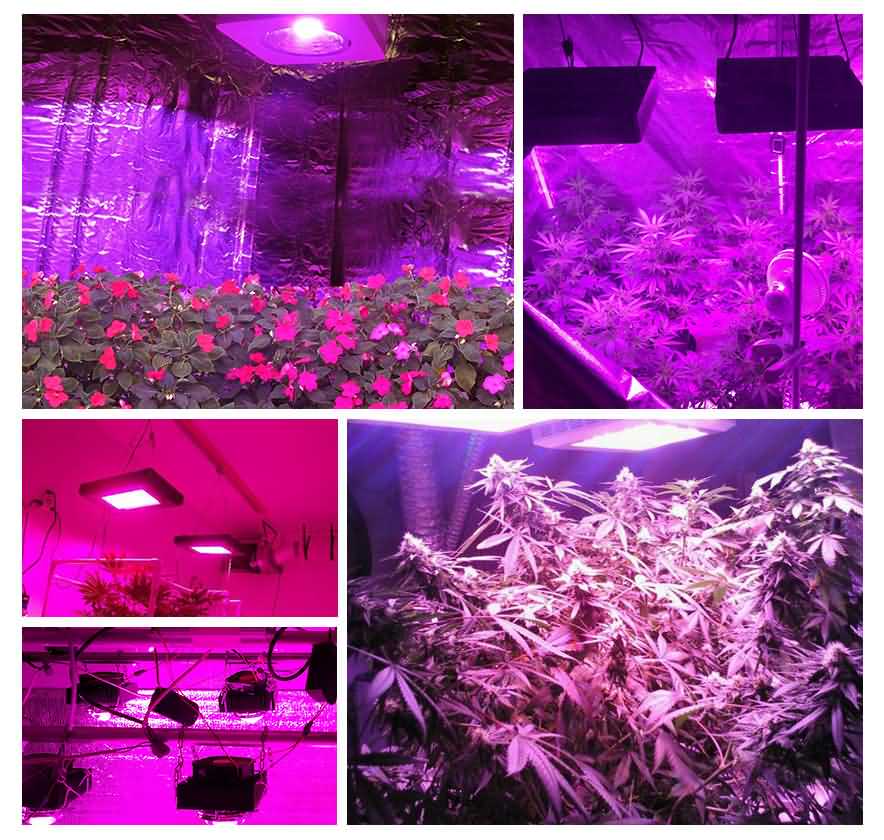 ZA 120W dimmable led grow light 