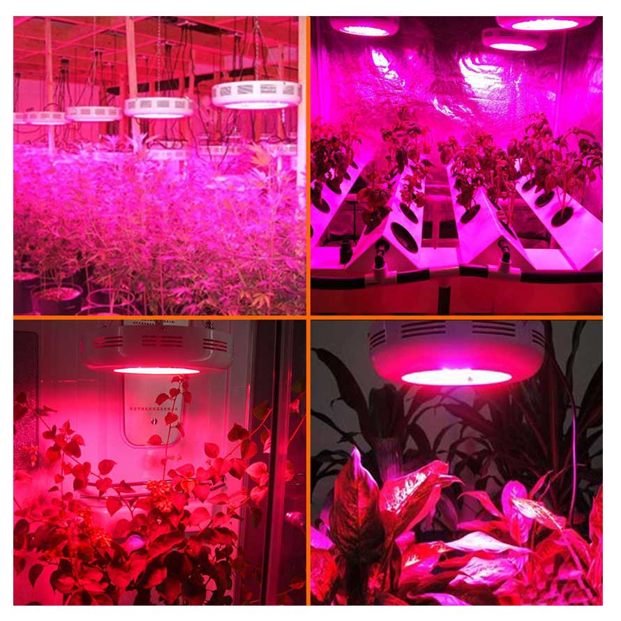 Red ufo deals led grow lights