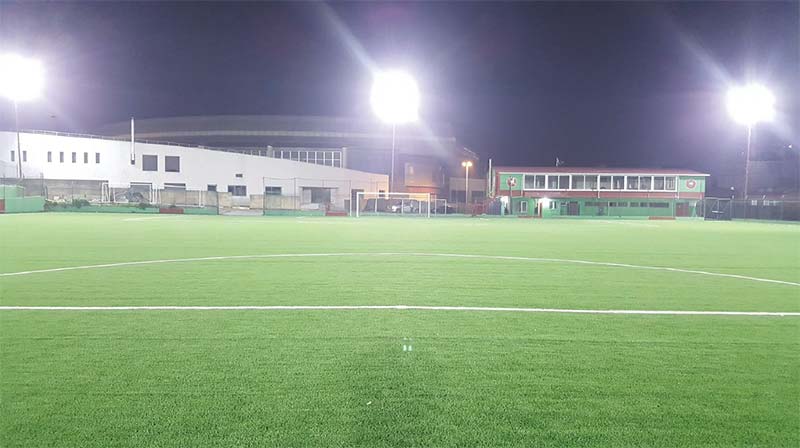 SM-FL2D Outdoor Flood Lights Application