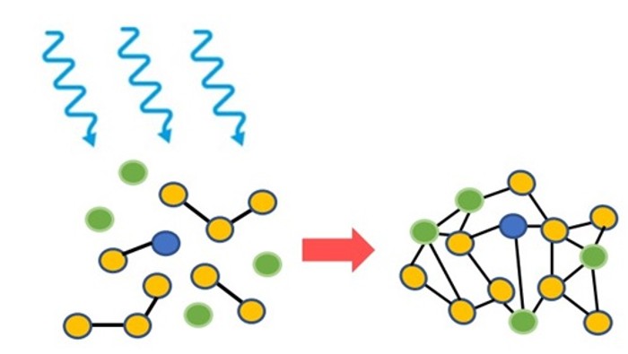 UV curing process from https://www.noblelight.com/